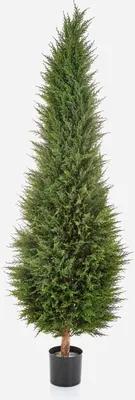 Produktbild von artplants.de Deko Zypresse MEKBUDA, grün, 180cm - Künstlicher Zeder