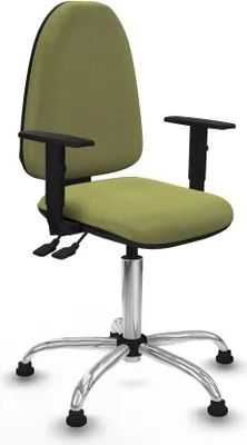 Produktbild von Bürostuhl Piqueras y Crespo B1D05RT grün