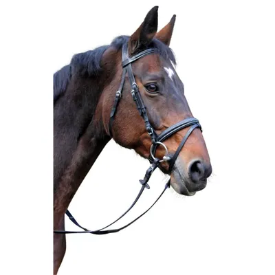 Produktbild von Kerbl Trensenzaum Classic Leder Schwarz Pony 326137