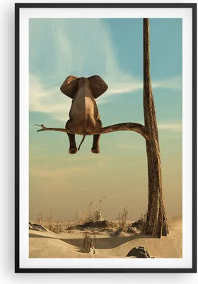 Produktbild von Gerahmtes Poster - Schwarzer Rahmen - Elefant sitzend Ast - 61x91,5 cm - Wand Bild - Wanddeko - Wandbilder - Kunstposter - Wandposter - Bilderrahmen - Bilder - Kunstdruck - P2BPA61x91-4557