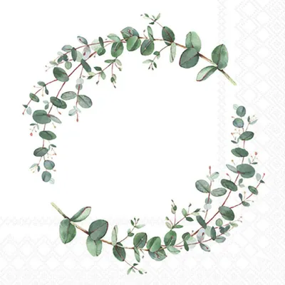 Produktbild von 20 Cocktail-Servietten Eukalyptus Kranz Hochzeit Kommunion Komfirmation