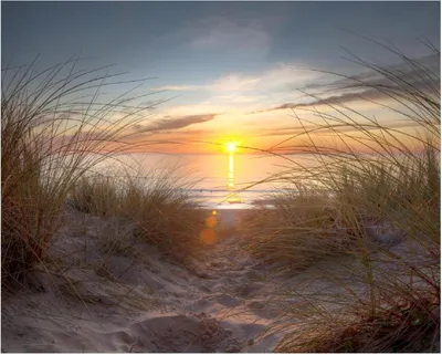 Produktbild von Wallario Poster - Sonnenuntergang am Strand, Kunstdruck Größe: 40 x 50 cm
