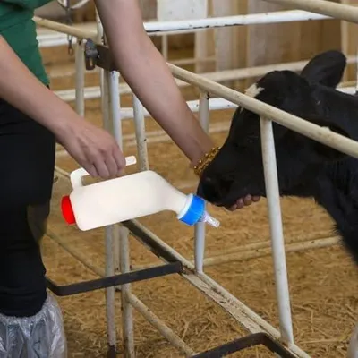 Produktbild von Lamm- und Ziegenfutterflaschen mit Skala und ergonomischem Griff