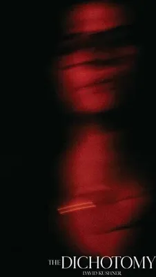 Zdjęcie produktu dla David Kushner - The Dichotomy (2 LP)