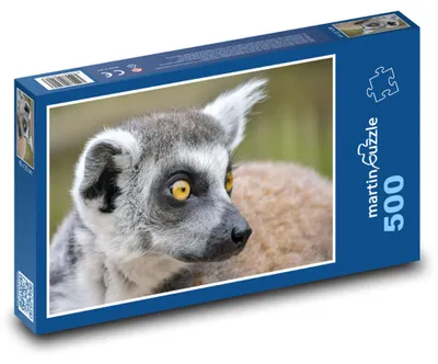 Obrázek produktu pro Puzzle 500 Krásný portrét lemura - martinpuzzle
