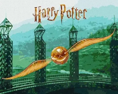 Produktbild von Malen nach Zahlen – Harry Potter. Der goldene Schnatz – Ideyka