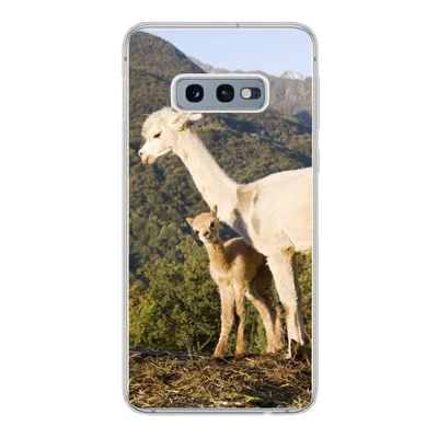 Produktbild von MuchoWow® Handyhülle Schutzhülle Hülle für Samsung Galaxy S10e Alpakas - Berge - Natur Silikon Softcase Handy Hülle - Handy