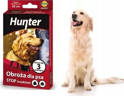 Obrázok produktu pre Vodotesný zvlhčujúci obojok pre psov 65 cm