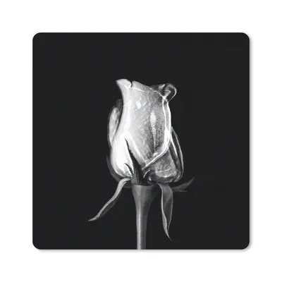 Produktbild von MuchoWow® Mauspad Mousepad Rosen - Blumen - Schwarz - Weiß 20x20 cm - Mousepads - Maus Mat - Pad - Mausunterlage - Desk Mat - Bureauartikeln