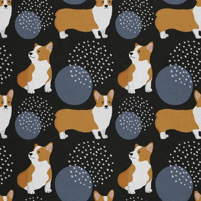 Immagine prodotto di DECOSTOFFE DA ESTERNO OXFORD - Motivo Corgi-Hund