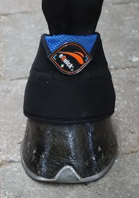 Produktbild von eQuick eArtik Kühlspringglocken