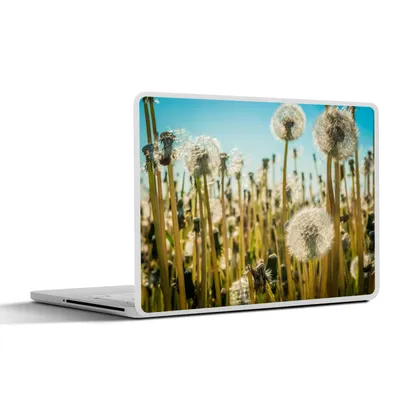 Produktbild von MuchoWow® Laptop Aufkleber Sticker Cover Blumen - Löwenzahn - Gras 30x21 cm - Sticker für Laptop - Selbstklebend