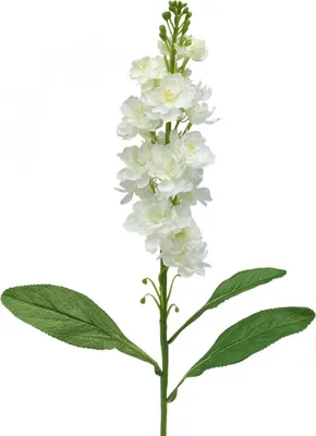 Produktbild von Levkoje Weiß 78cm Kunstblume Deko Seidenblume künstlich