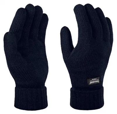 Produktbild von Regatta Professional Thinsulate Gloves