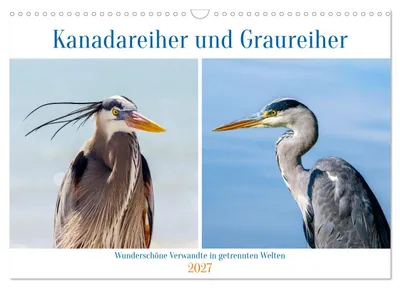 Produktbild von Kanadareiher und Graureiher (Wandkalender 2027 DIN A3 quer), CALVENDO Monatskalender