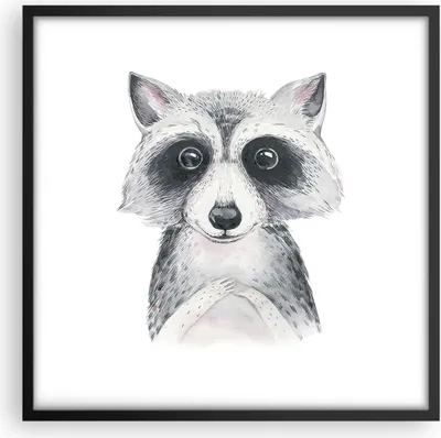 Produktbild von Gerahmtes Poster - Schwarzer Rahmen - Waschbär Bild Kinder - 50x50 cm - Wand Bild - Wanddeko - Wandbilder - Kunstposter - Wandposter - Bilderrahmen - Bilder - Kunstdruck - P2BAC50x50-4607