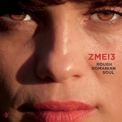 Produktbild von Zmei3-Rough Romanian Soul