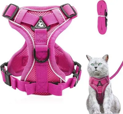 Imagen del producto de Toalla para gatitos con arnés y correa para paseos seguros