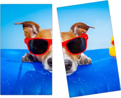 Produktbild von Spritzschutz Herdabdeckplatte Schneidebrett aus Glas Cooler Hund im Bassin 2-Teilig (60x52cm)