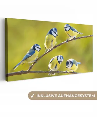 Produktbild von MuchoWow® - Leinwandbilder - Vogel - Blaumeise - Äste - Sonne, Wandbild, Wanddeko Bilder Wohnzimmer, 80x40 cm