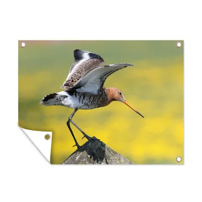 Obrázek produktu pro MuchoWow® Zahradní plakáty - Břehule, která chce odletět - 120x160 cm - Zahradní dekorace