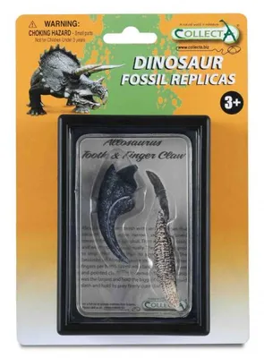 Produktbild von COLLECTA Geschenkset - Vorgeschichte
