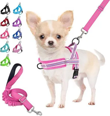Produktbild von Famanu Hundegeschirr mit Leine, weich gepolstert, reflektierend, verstellbar - rozerot, XXS