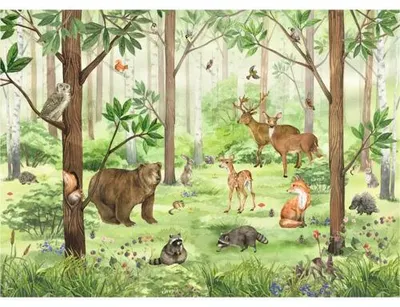 Produktbild von Fototapete Vlies FT5P 3053-038 Tiere Wald grün 375 x 270 cm