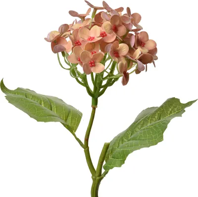 Immagine prodotto di Fiore artificiale Clayre & Eef 37 cm plastica rosa