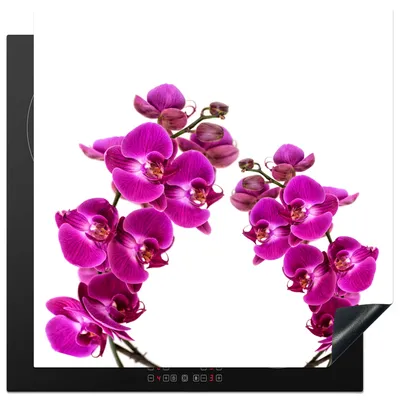 Produktbild von KitchenYeah© Herdabdeckplatte Orchidee - Blumen - Rosa - Weiß , 78x78cm, Küche Deko, Glaskeramikkochfeld Herdabdeckung, Abdeckplatte fùr Kochfeld