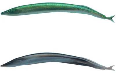 Produktbild von Berkley Gulp! Alive Sand Eel - 8 Sandaale, Farbe:Silver Mud