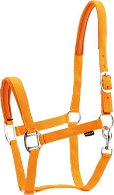 Produktbild von Horse Guard Nylonhalfter für Pferde - orange - Shetty