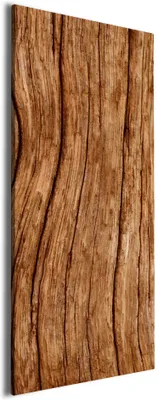 Produktbild von Wallario Premium Leinwandbild Holzstamm in Größe 60 x 150 cm