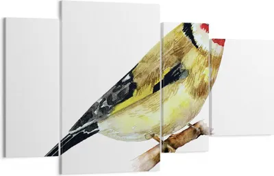 Produktbild von Bild auf Leinwand - Leinwandbild - 4 Teile - Stieglitz Vogel Aquarell - 120x70cm - Wand Bild - Wanddeko - Wandbilder - Leinwanddruck - Bilder - Wanddekoration - Leinwand bilder - DL120x70-4179