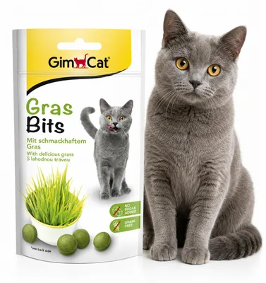 Obrázok produktu pre GimCat GrasBits 40 g, Obrázok generovaný UI
