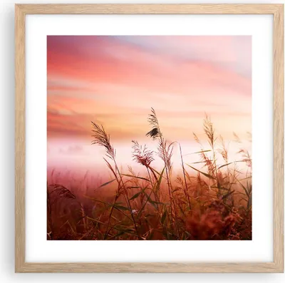 Produktbild von Gerahmtes Poster - Rahmen in heller Eiche - Wiese Getreide Natur - 40x40 cm - Wand Bild - Wanddeko - Wandbilder - Wandposter - Bilderrahmen - Bilder - Kunstdruck - Wandbild - P2NAC40x40-3530