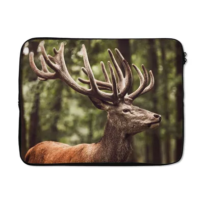 Produktbild von MuchoWow® Laptop Hülle 15 Zoll Hirsch - Natur - Geweih - Wald - Tiere Laptoptasche - Laptoptasche - Sleeve - Rundum-Schutz