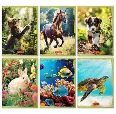 Zdjęcie produktu dla Zeszyt A5/16K linia podwójna Animals (20szt) - HERLITZ