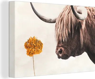 Produktbild von OneMillionCanvasses® - Leinwandbilder - 150x100 cm, Schottisches Hochlandrind - Blume - Orange, Wandbilder Wohnzimmer Hochland Rind - Tier Wanddekoration - Hochland Rind - Kuh - Gemälde auf Holzrahmen