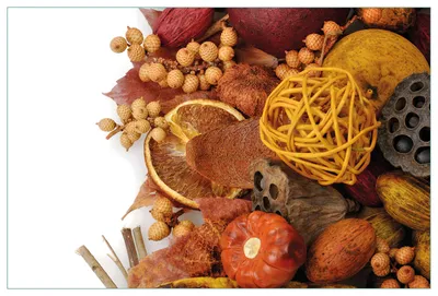 Produktbild von Wallario Küchenrückwand aus Glas, Größe: 90 x 60 cm, Motiv: Herbststimmung - Trockenfrüchte, Nüsse und Samen - Herbstdeko | Spritzschutz | abwischbar | pflegeleicht | in