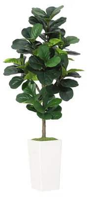 Immagine prodotto di Ficus lyrata, pianta artificiale realistica, decorazione d'interni, 180 cm