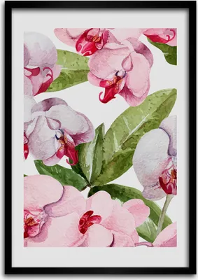 Produktbild von Bild - Bilderrahmen - Foto - 70 cm x 100 cm - MDF - Rahmen - Wandkunst - Orchidee