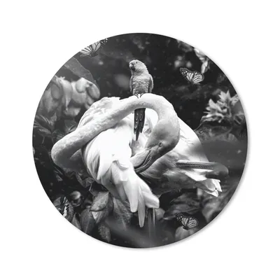 Produktbild von MuchoWow® Mauspad Mousepad Pflanzen - Flamingo - Dschungel - Schwarz - Weiß 40x40 cm - Mousepads - Maus Mat - Pad - Mausunterlage - Schreibtisch Accessoires