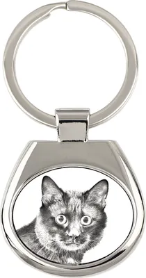 Image de Art-Dog Porte-clés – Bobtail kurilien