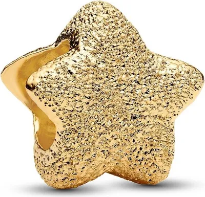 A close-up studio shot of a single, textured gold star-shaped charm.