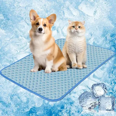 Selbstkühlende Kühlmatte für Hunde & Katzen, 50x60 cm, blau
