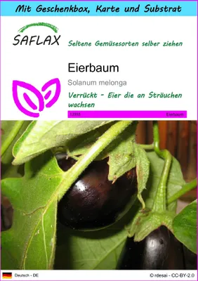Produktbild von SAFLAX Geschenk Set - Eierbaum - Solanum melonga - 20 Samen - Mit Geschenkbox, Versandaufkleber, Geschenkkarte und Anzuchtsubstrat