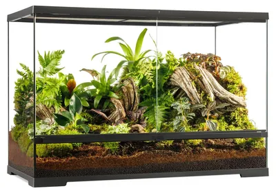 Produktbild von Exo Terra Pro Terrarium L Tall Terrarium 90x45x60cm Grün 90x45x60 cm Grün 90x45x60 cm