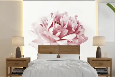 Produktbild von MuchoWow® Fototapete für Wohnzimmer oder Schlafzimmer Wandtapete Vinyl Motivtapete Nahaufnahme einer rosa Pfingstrose - 240x240 cm - Schlafzimmer-Tapete