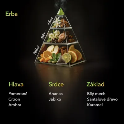 Zdjęcie produktu dla Erba TURBO 750 ml